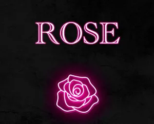 Вебкам студия ROSE в Екатеринбурге — логотип на обложке