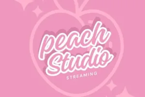 Вебкам студия Peach Studio в Екатеринбурге