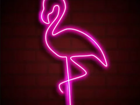 Вебкам студия PingFlamingo в Екатеринбурге